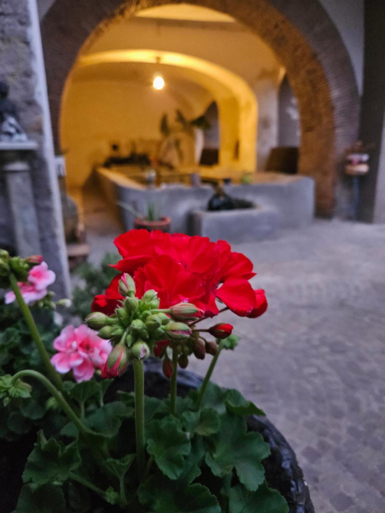 Bed and Breakfast L' Antico Lavatoio Rignano Flaminio Exterior foto
