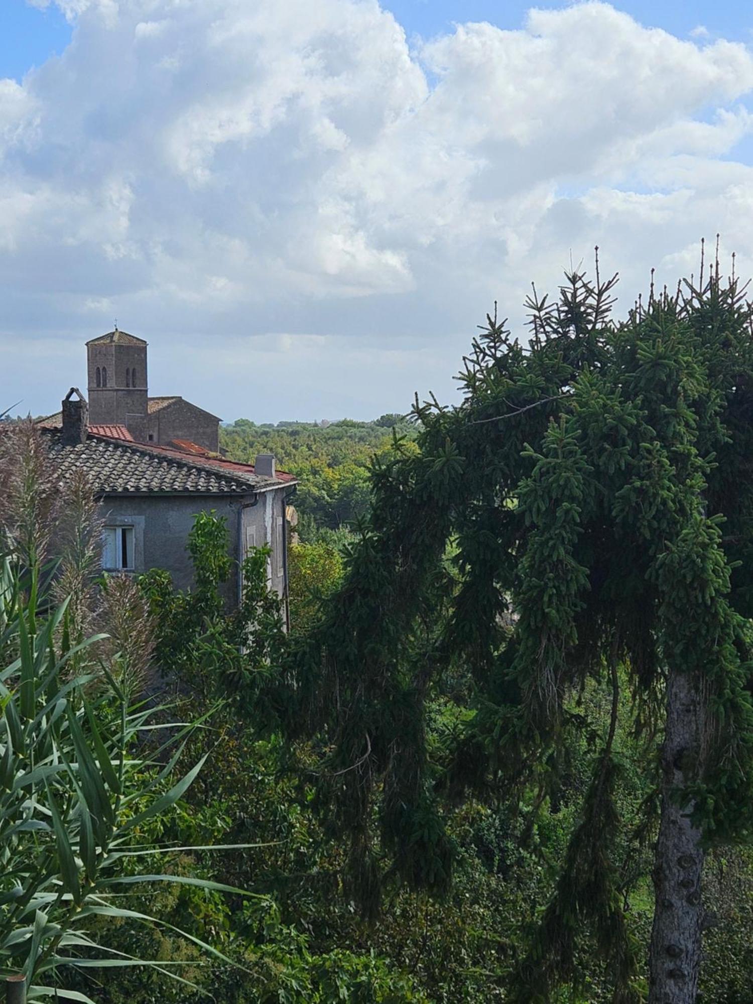 Bed and Breakfast L' Antico Lavatoio Rignano Flaminio Exterior foto
